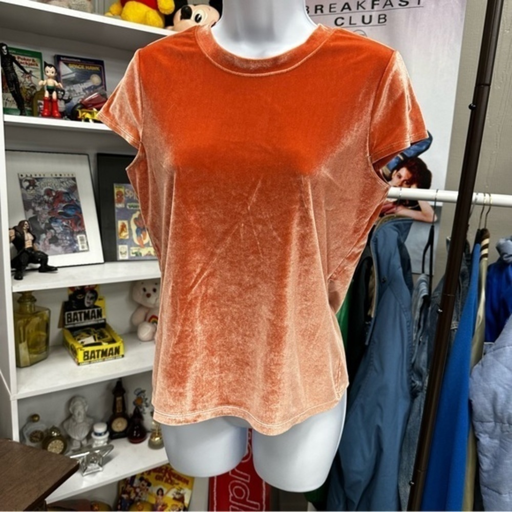 Madewell sz small velour top A19 - Picture 2 of 4